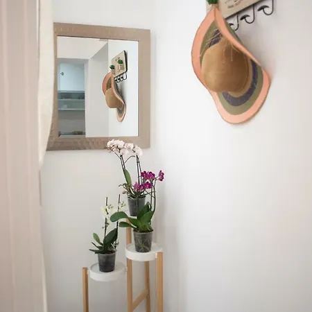 Daire Acogedor Y Luminoso Apartamento