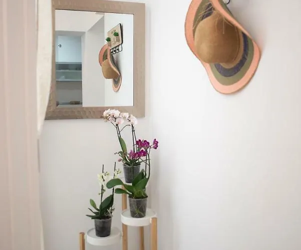 Апартаменты Acogedor Y Luminoso Apartamento